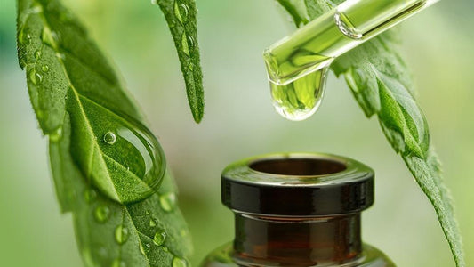 Какво е CBD масло и какво трябва да знаете за него
