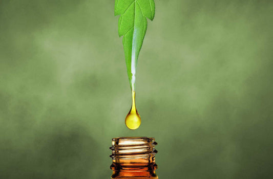 Как CBD Масло с канабидиол помага за здравето?