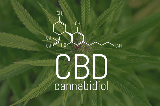 Ползи от CBD