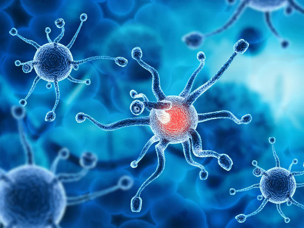 Естествено лечение на МС със CBD масло