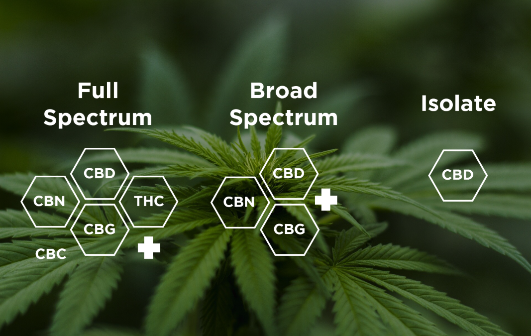 Full-Spectrum, Broad-Spectrum и CBD изолат