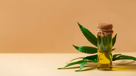 Противовъзпалителни ефекти на CBD могат да намалят болката и възпалението. Вижте как CBD подкрепя тялото и подобрява естествения баланс.